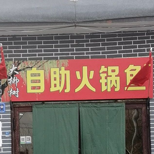 大柳树自助火锅鱼(翰林路店)