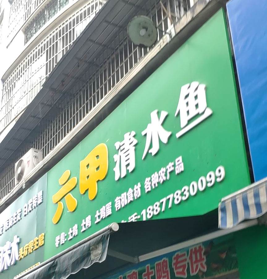 海鲜清水鱼