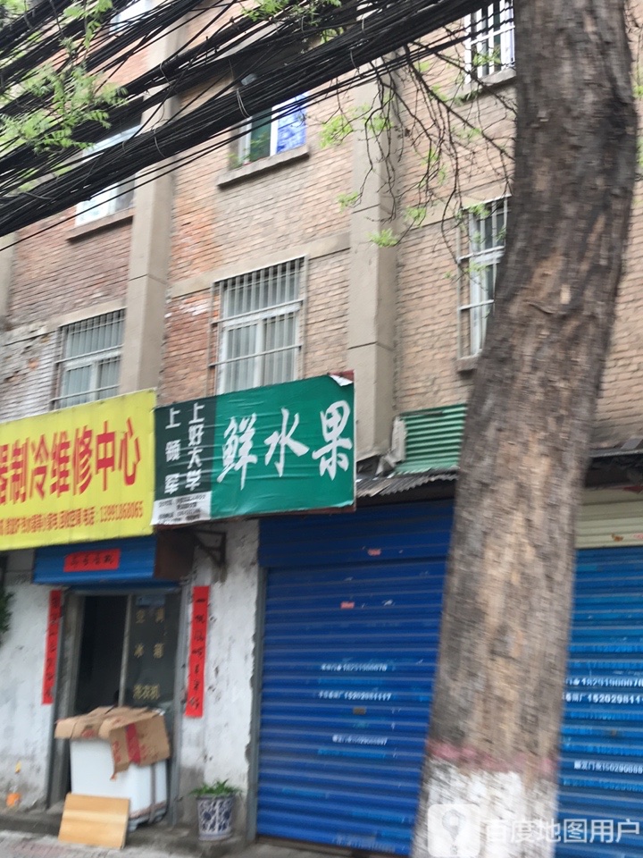 鲜水果(安东街店)