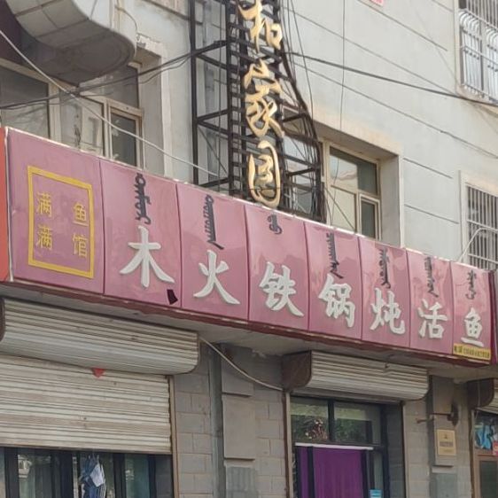 木火铁锅炖活鱼(东风南路店)