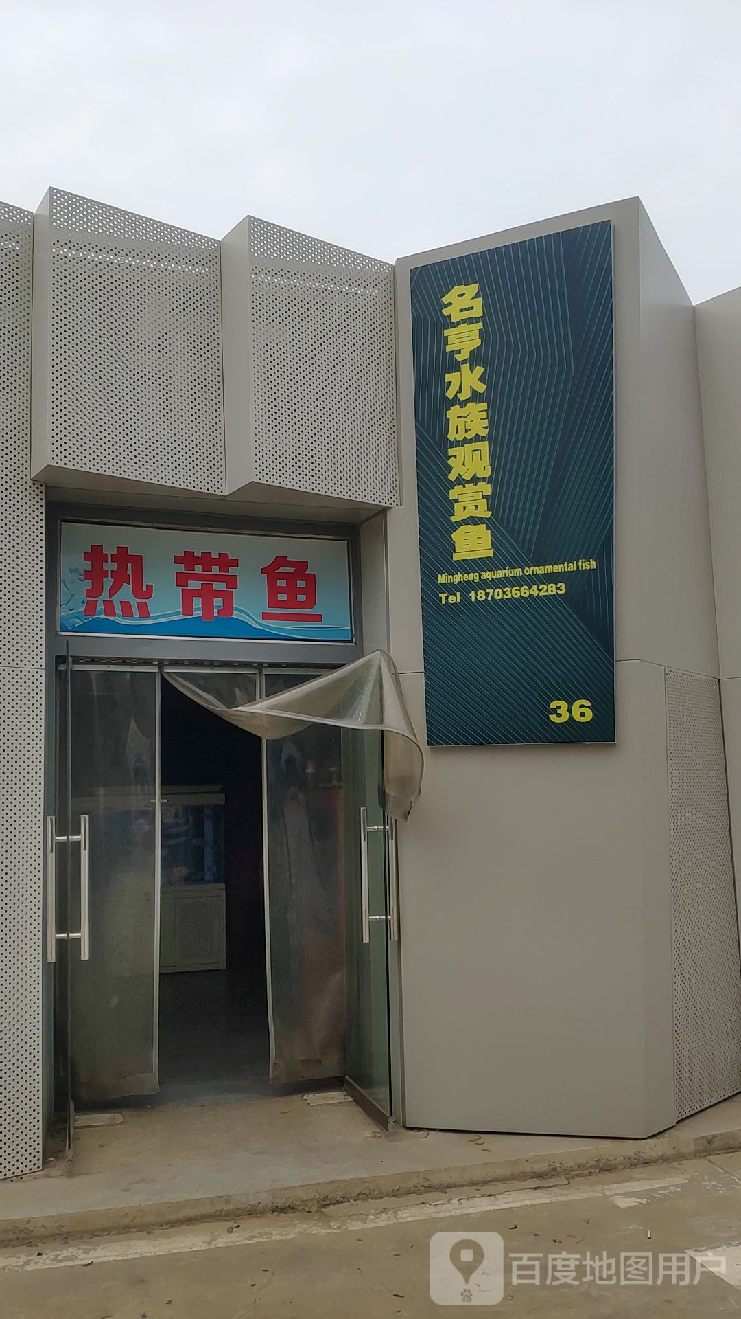 名亨水族观赏鱼