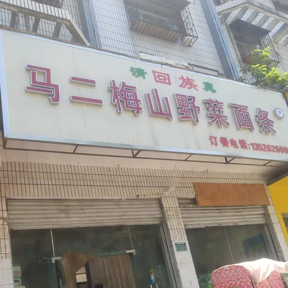 清真马二梅山野菜面条