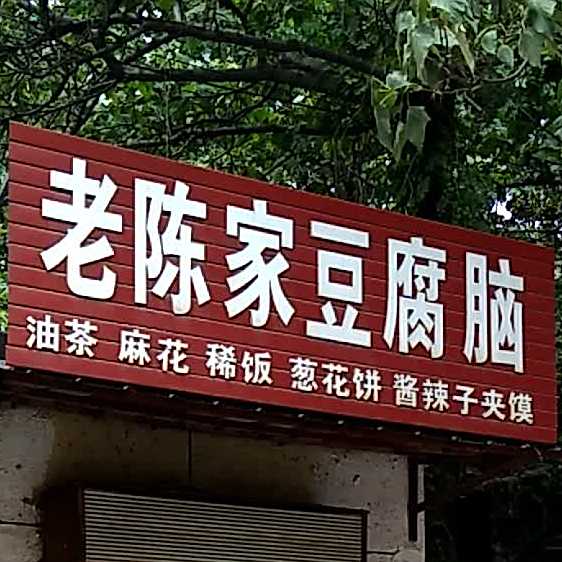 老陈家豆豆腐脑(水津社区东北)