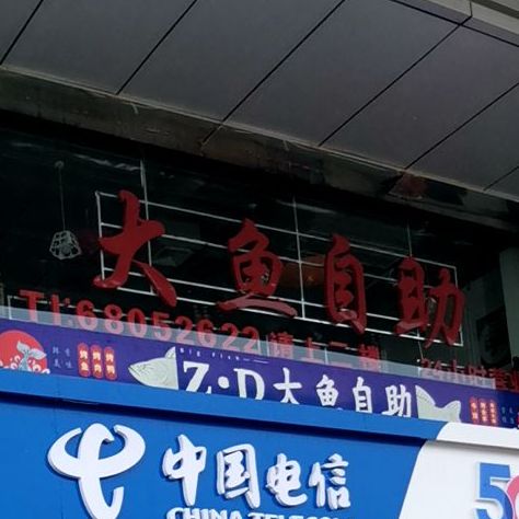 ZD大鱼自主(东明店)