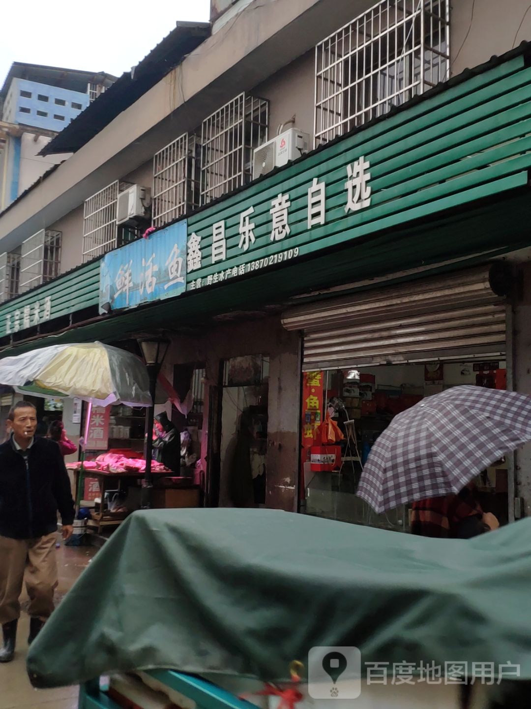 鲜活鱼