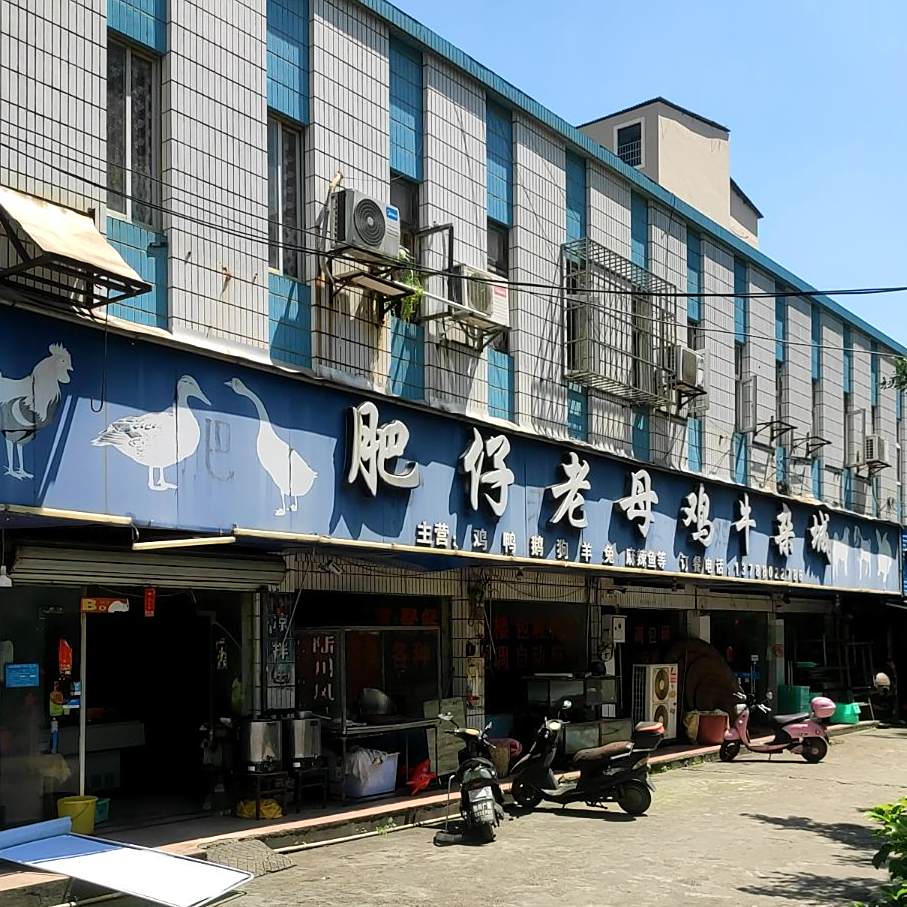 肥仔老母鸡牛雑城
