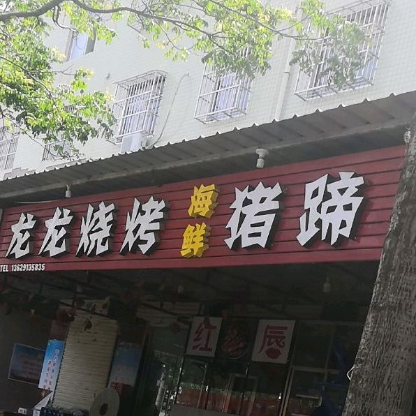 龙龙烧烤(印光大道店)