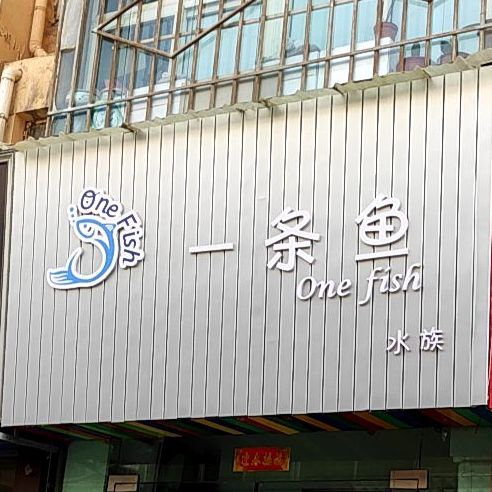 一条宇水族(山丹北街店)