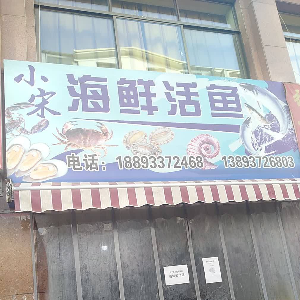 小宋海鲜活鱼