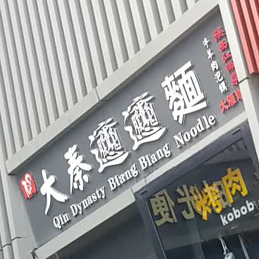 大秦biangbiang面(大雁塔店)
