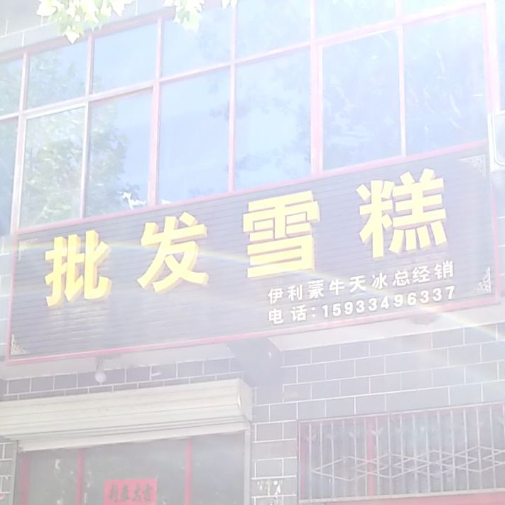 批发雪糕伊利蒙牛天冰总经销(靖远南大街店)