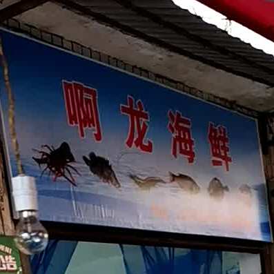 啊龙海先