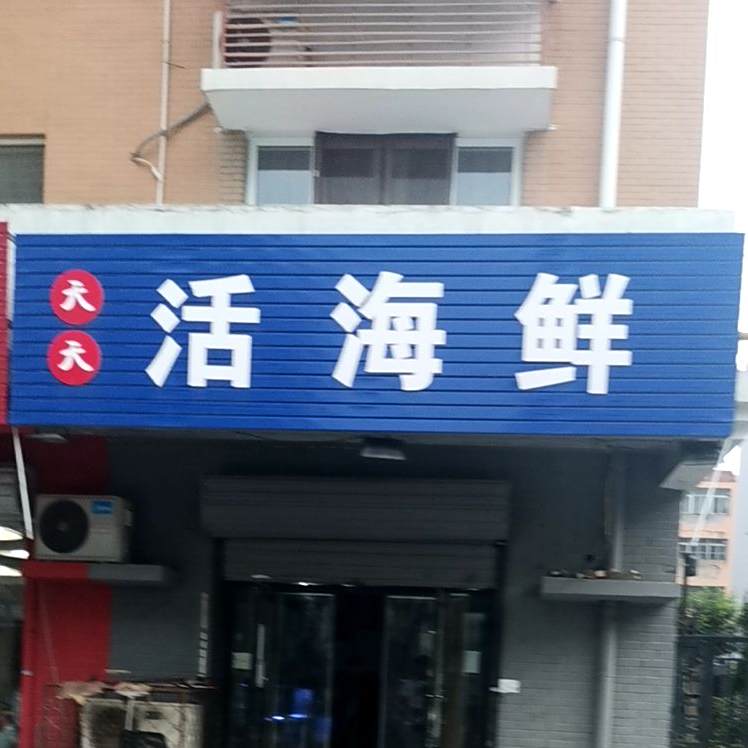 天天活海先