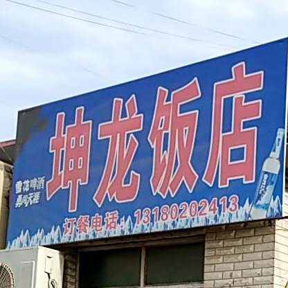 坤龙返点