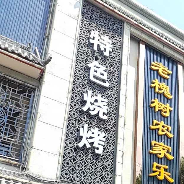 特色烧烤(解放东路店)