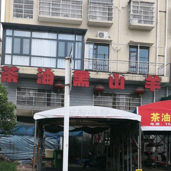 茶油黑山羊