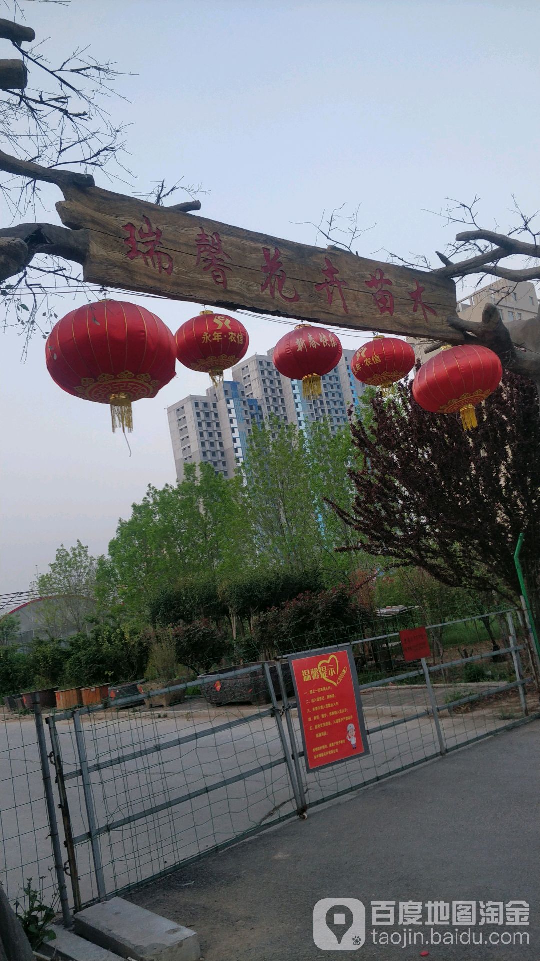 瑞馨花卉苗木