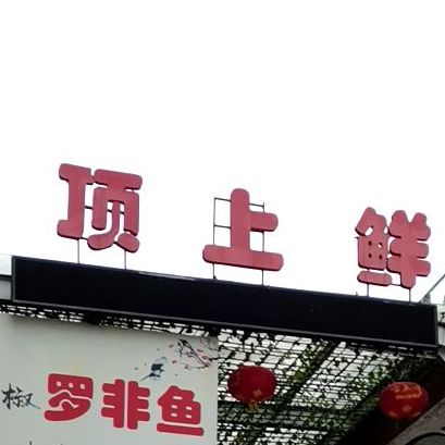 顶上鲜斑鱼活过(汉中店)