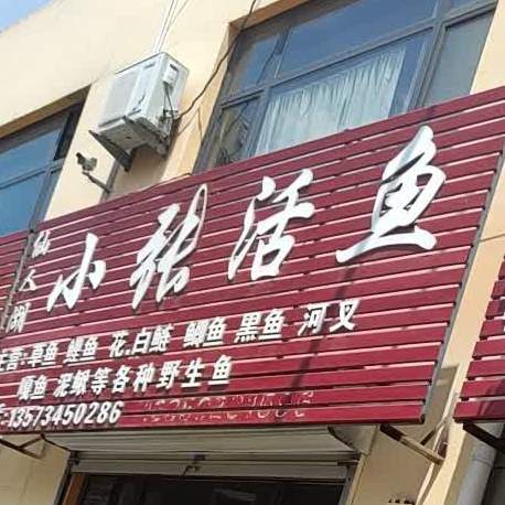 仙人湖小张活鱼