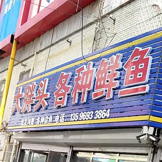大胖头各种鲜鱼