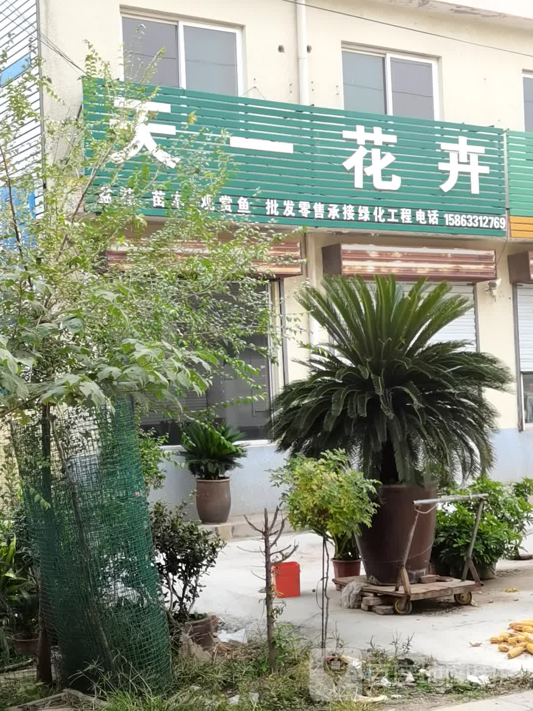 天一花卉