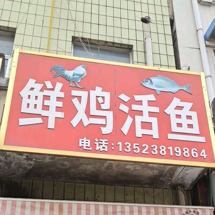 鲜鸡活鱼