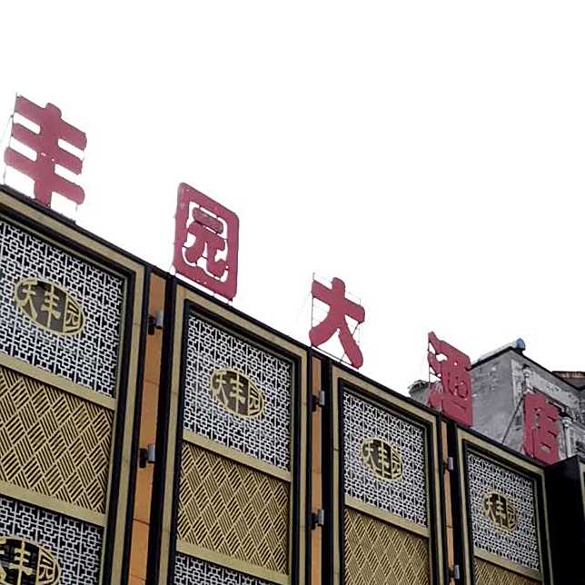 天丰园大九点