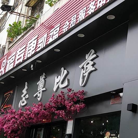 志尊披萨(卧龙路店)