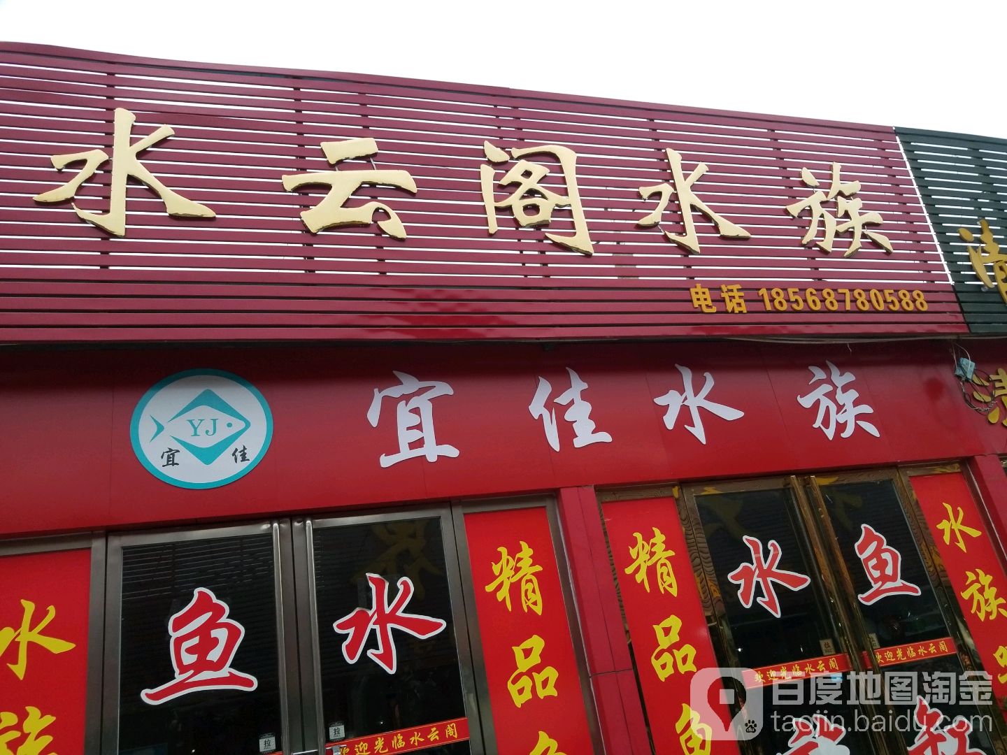 水云阁水族(滨河东路店)