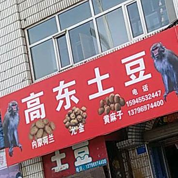 高东土豆