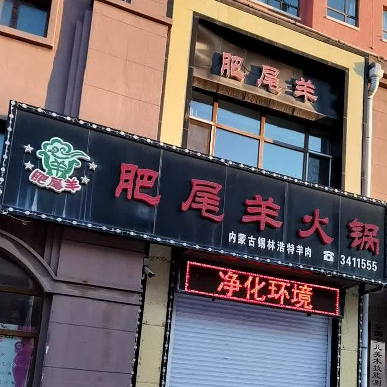 肥尾羊火锅