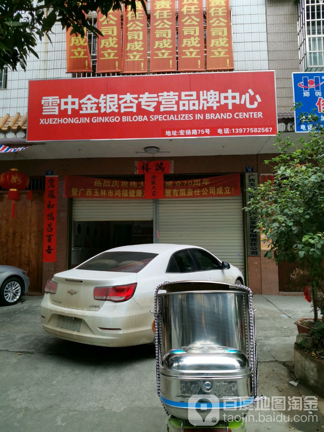 雪中金银杏专营品牌中心