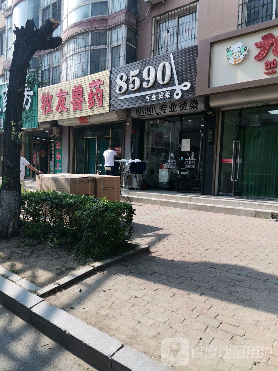 8590专业烫染