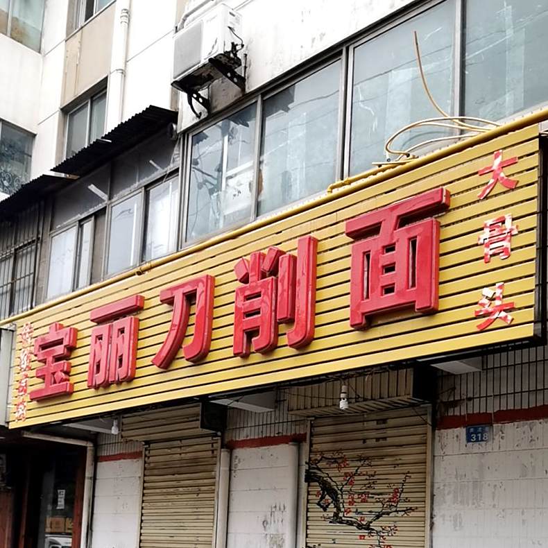 宝丽刀削面(奔流街店)