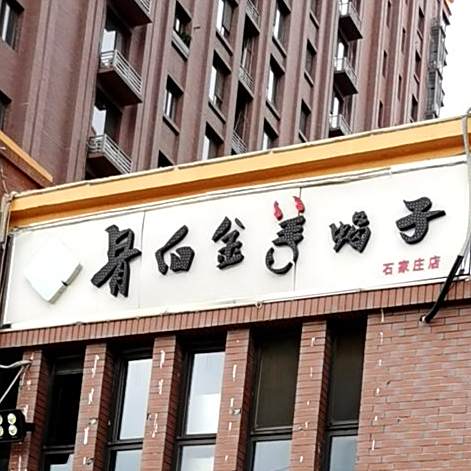 骨白金阳谢子(石家庄店)