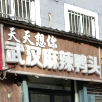 天天想你武汉麻辣鸭头(花园小区店)