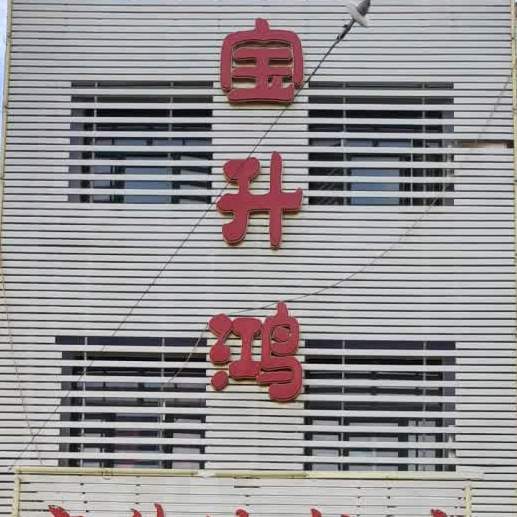 宝升鸿返点