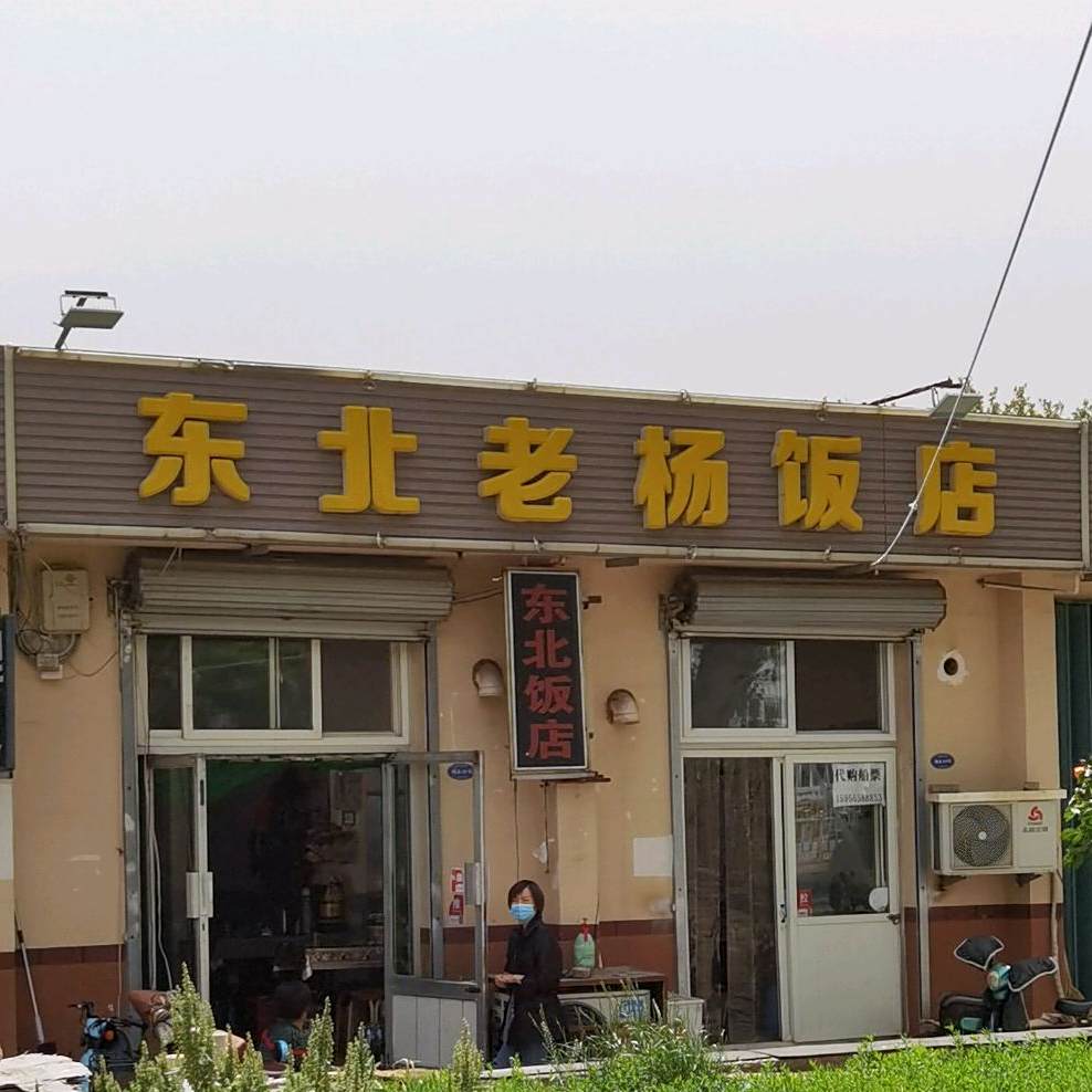东北老杨饭店