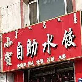 小贺自助睡饺