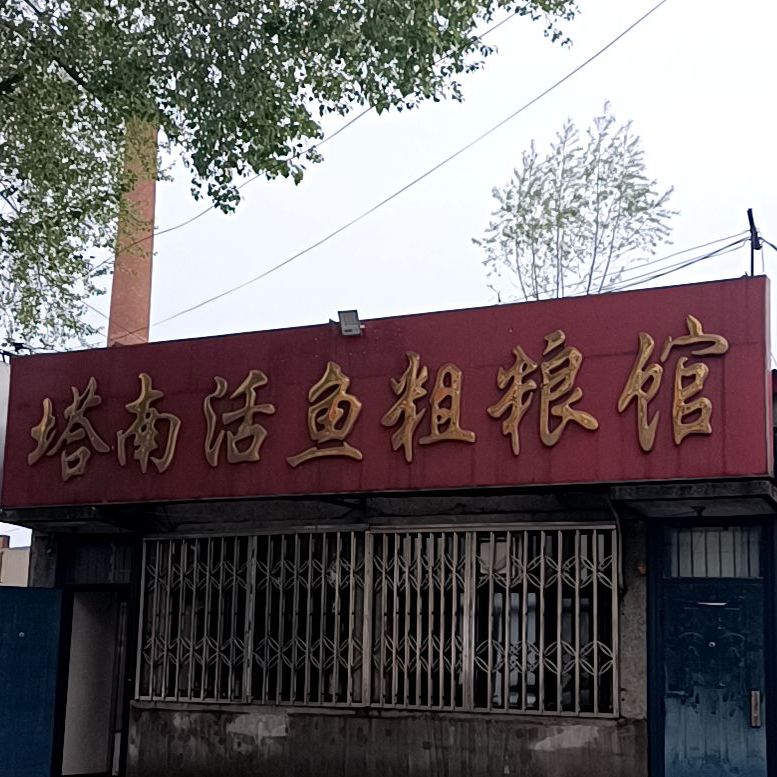 塔南活鱼粗粮馆