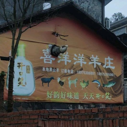 喜洋洋羊庄