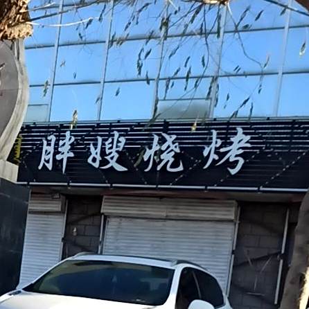 胖婶烧烤(五一街店)