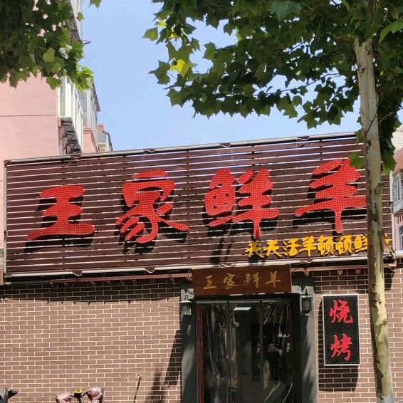 王家鲜羊