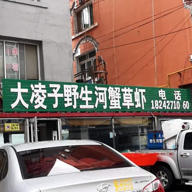 大凌子卫生河蟹草虾