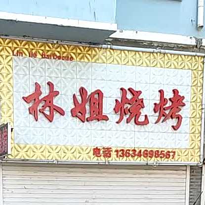 林姨烧烤(天府名苑B区店)