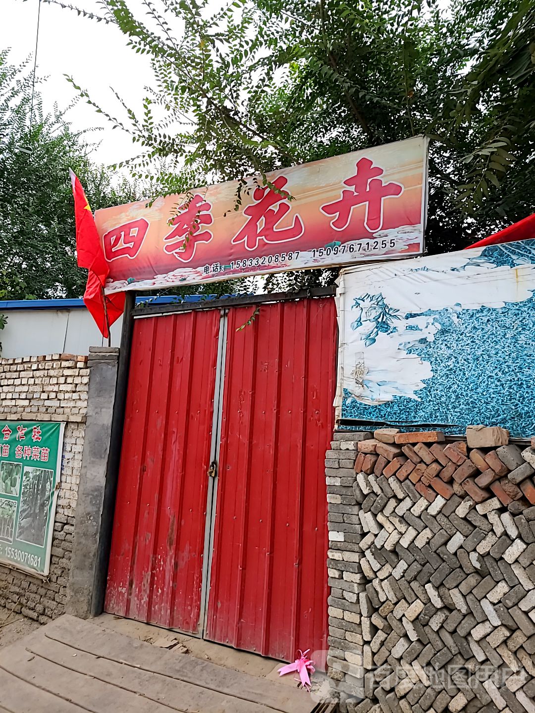 四季花卉(S313店)