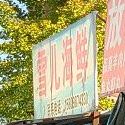 雪儿海鲜