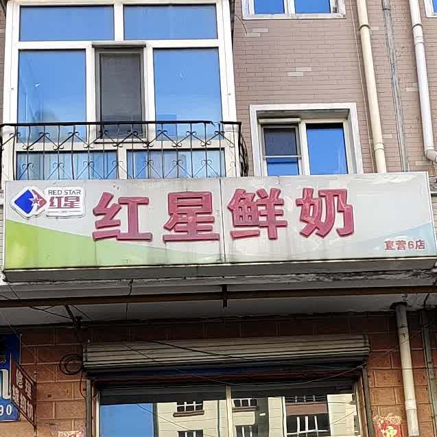 红星鱼奶(直营6店)