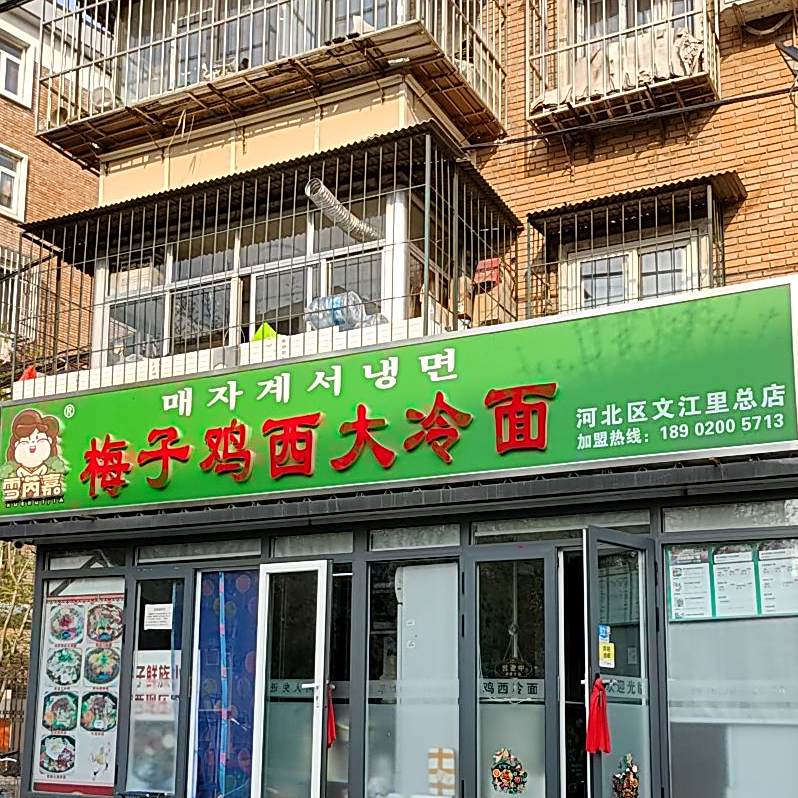 雪芮嘉梅子鸡西大冷面(河北区文江里总店)