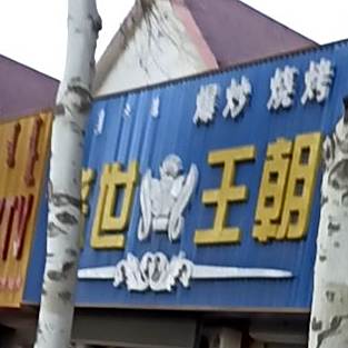 王朝爆烤烧烤